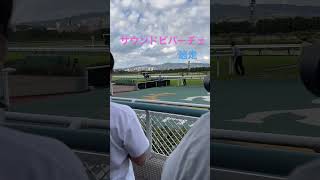 サウンドビバーチェがまたもやレース前に逃げ出す#shorts #競馬 #秋華賞 #サウンドビバーチェ