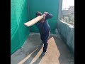 common faults of batting important frontfoot batting tips improve frontfoot vertical bat shots