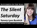 “the silent saturday” – powerful prophetic encouragement from tammy lynn burdrick