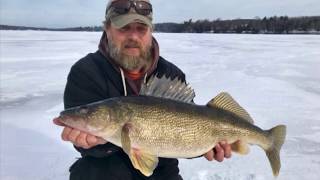 GIANT Walleye- NYS Record?- This is the small one!