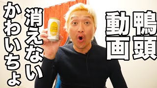 鴨頭嘉人の通報は不正通報だったことが判明！！！