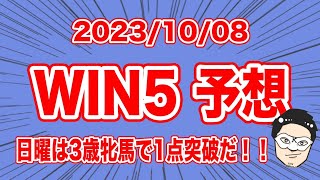 【10/8  #WIN5予想 】日曜は3歳牝馬で1点突破だ！！【競馬予想】