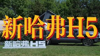 体验｜不会钓鱼的露营者不是好导演 新哈弗H5三种生活方式展示