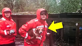 Rescuers found a FLOODED trailer in hurricane florence. Then they heard cries coming from a cage