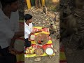 प्रेम की भाषा हर कोई समझता है इंसान हो या जानवर humanity help monkey motivation youtubeshorts