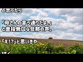 【スカッとする話】トメ「孫ｸﾝがアレルギーなんて本当？どうせ親が好き嫌いばっかりして偏食だからでしょ？」私が言い返そうとすると、旦那「母さんの言う通りだよ」