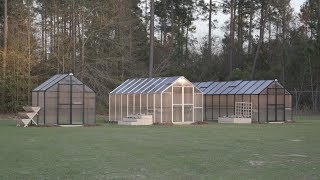 Urban Farming: Greenhouses Let You Grow Food All Year