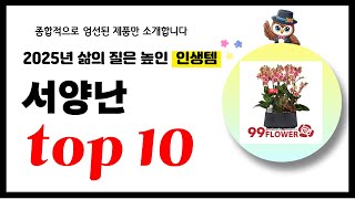 서양난 추천! 2025년 삶의 질을 높여줄 역대급 가성비 인기상품TOP10