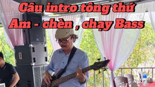 Tạo câu intro, giang tấu cho những bài hát tông thứ. Chèn Bass, chạy Bass, Lead …