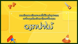 [LAOS] ວິດິໂອແນະນຳການທັດສອບລະບົບ point system of EPS_ທັກສະພື້ນຖານ (Forestry)