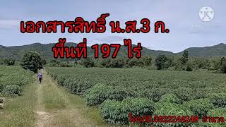 อน.138 ที่ดิน อ.บ้านไร่ เอกสารสิทธิ์ น.ส.3ก. พื้นที่197ไร่ ขายเหมา 30ล้านบาท โทร/Line ID.0822244248