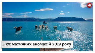 5 кліматичних аномалій. Жахаючі наслідки глобального потепління