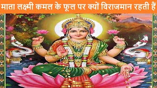 माता लक्ष्मी कमल के फूल पर क्यों विराजमान रहती हैं - Why Mata Lakshmi is Seated on a Lotus Flower