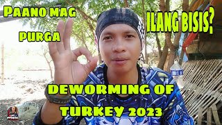 PAANO MAG PURGA NG PABO AT ILANG BISIS DAPAT MAG PURGA | DEWORMING of turkey