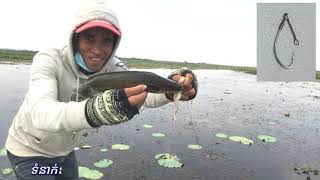 Video fishing / hook fishing /របៀបវាត់ត្រីកុំឲ្យរួច/របៀបដោតនុយបបក់ត្រី/បបក់ត្រីរ៉ស់ត្រីផ្ទក់