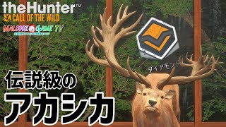 【ザハンターコールオブザワイルド】伝説級のダイヤモンドアカシカを狩猟せよ！【theHunter: Call of the Wild 】