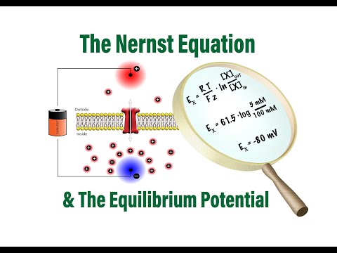 What does Nernst equation tell you?