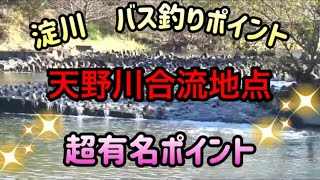 枚方市にある淀川と天野川合流地点周辺を探索してみた。淀川河川敷公園、バス釣りポイント。#fishing#バス釣り #淀川  #bassfishing