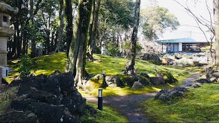 Sa No Museum | 佐野美術館 | Traditional Japanese Garden | Shizuoka, Mishima, Japan | 静岡、三島、日本