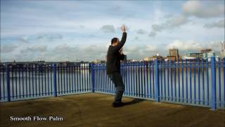 Baguazhang Mother Palms training - with captions!