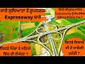 Ludhiana to Rupnagar EXPRESSWAY||Full route map||Village list||Full information #trending #viral