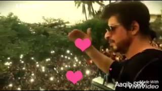 Shah Rukh Khan Birthday Celebrating at Mannat With Fan |  by Aaqib Srk  |