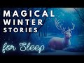 5HRS Magical Winter Stories ❄️ The Coziest Winter Stories for Sleep | Bedtime Stories Compilation