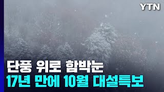 [날씨] 단풍 위 '함박눈 펑펑'... 강원 산간, 17년 만에 10월 '대설특보' / YTN