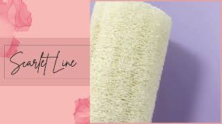 Scarlet Line 100% Organic Sponge Gourd Loofah B09JK5K83T