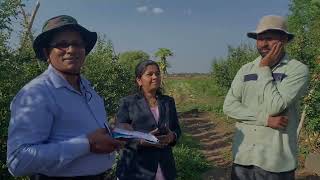 Sct Vedic Pomogranate - Sri Lanka farmer visited to sct vedic pomo plot in India.