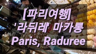 [파리여행] Laduree Paris (라뒤레) 샹델리제거리 마카롱