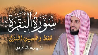 سورة البقرة كاملة تلاوة خاشعة 😥 لحفظ وتحصين المنزل بصوت هادئ وجميل 🧡 l الشيخ رعد محمد الكردي