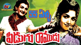 55 ఏళ్ళ 'పిడుగు రాముడు' | Pidugu Ramudu | NTV Entertainment