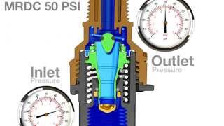 Nelson MRDC Mini Regulator Drain Check for Sprinkler Irrigation