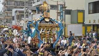 上溝五部会 い組　神輿渡御  （ 平成29年）