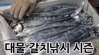 4~5지까지 제주도 대물 갈치낚시 대박치고 왔어요!