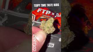 TERPY TIME TASTE BUDS - @FTP x RUNTZ - RUNTZ #collab #collaboration #cannabiscollab #2024 #cali