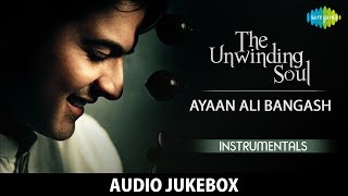 The Unwinding Soul - Ayaan Ali Bangash | Hindustani Classical Instrumental | HD Audio Jukebox