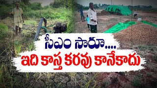 🔴LIVE: ఉమ్మడి అనంత జిల్లాలో ఎండిపోయిన వేరుశెనగ పంట | Dry Groundnut Crop | Anantapur District