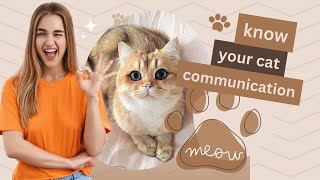 how to understand your cat communication easily ?