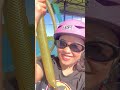 zipline and skybike ———papakits