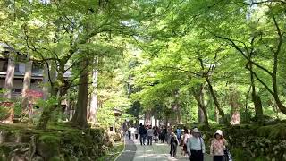 20190504 福井県永平寺町 永平寺の風景