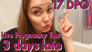 17 DPO Live Pregnancy Test//I'm 3 days late/Does it mean anything bad?My plans at this point/Baby #4