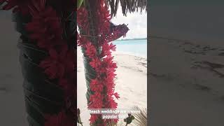 St Regis Bora Bora - Wedding and Vow Renewals - Tahiti by Carl
