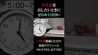 【本気で頑張っている方へ】１２時間勉強した日のスケジュール/２０秒でやる気のでる動画　#shorts