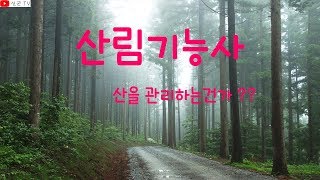 [신군TV]산림기능사 어떤 자격증일까 ??