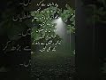 Peyar insan se karo | غلطیوں | Best urdu quotes #ytshorts #urduquotes  #islamicquotes #islamicstatus