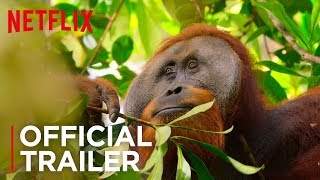 Our Planet | Official Teaser [HD] | Netflix