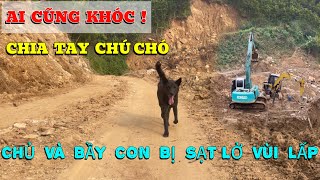 XÚC ĐỘNG Khi Phải Xa Chú Chó CHỦ NHÂN VÀ BẦY CON BỊ SẠT LỞ VÙI LẤP