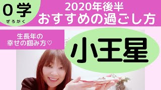 【０学】小王星の２０２０年の運勢とおすすめの過ごし方